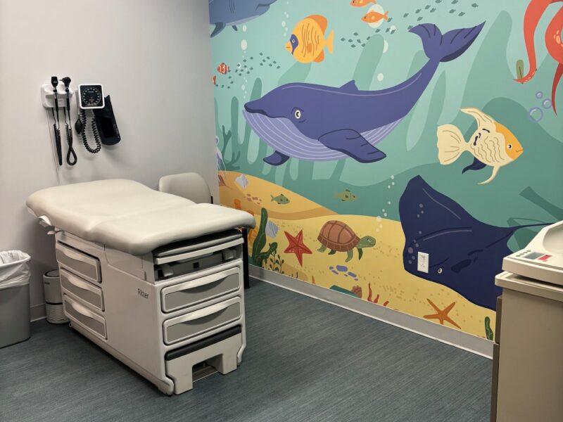 Woburn pediatric office, exam room fish